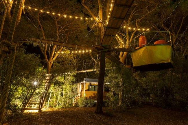 Casetta sospesa illuminata di notte nel bosco.