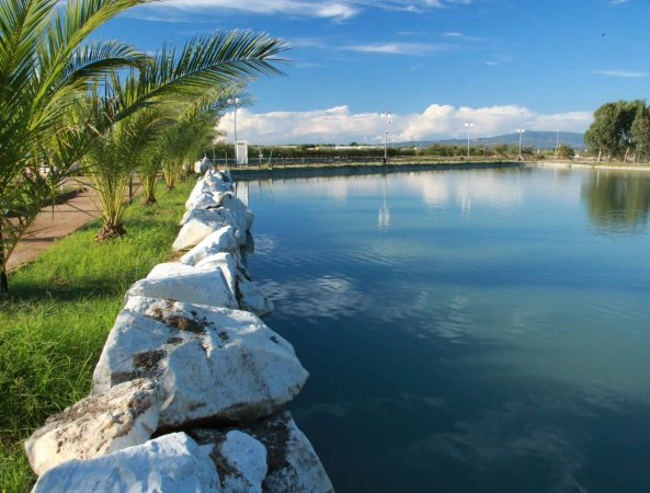 Un laghetto tranquillo con palme e una fila di grandi massi lungo la riva sotto un cielo azzurro.