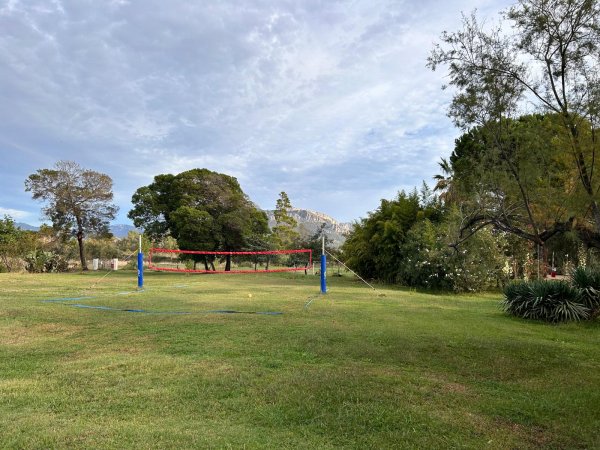Rete da pallavolo su un prato verde con alberi sullo sfondo.