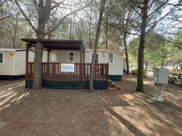 Bungalow con veranda coperta in legno tra alberi alti. Ambiente naturale e ombreggiato.