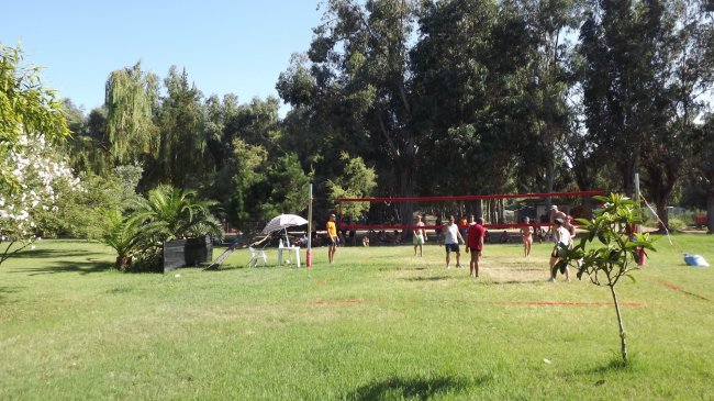 Persone giocano a pallavolo su un prato verde circondato da alberi.