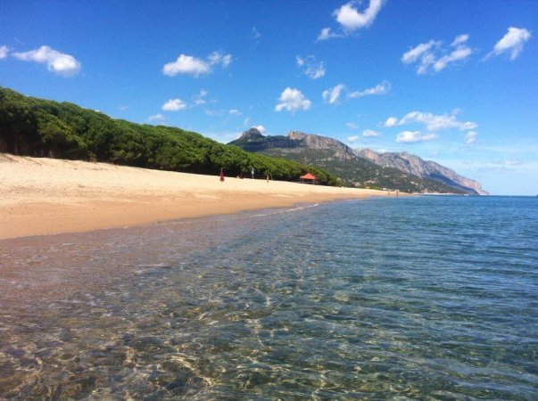 Spiaggia sabbiosa con mare calmo e montagne verdi sullo sfondo sotto un cielo azzurro.