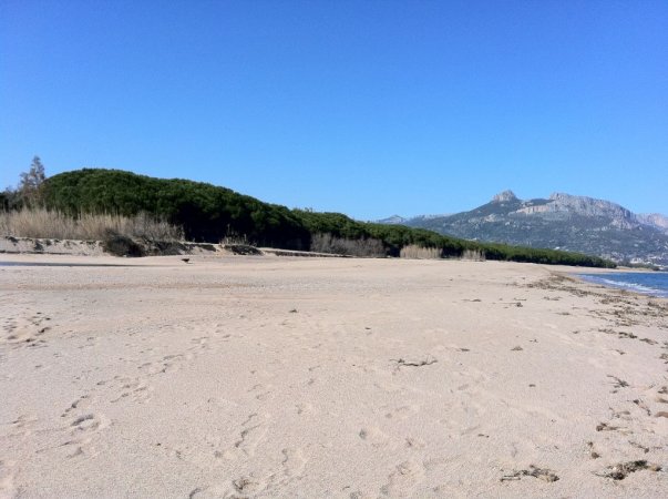 Spiaggia sabbiosa con vegetazione verde e montagne sullo sfondo.