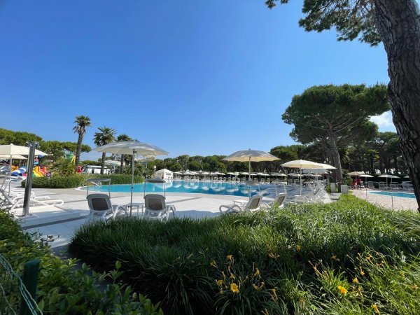 Sdrai e ombrelloni bianchi accanto a una piscina circondata da alberi e piante verdi.