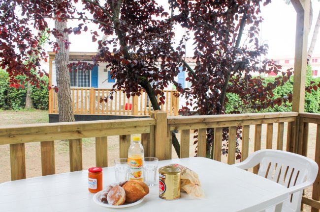 Tavolo bianco all'aperto con pane, bibite e alberi sullo sfondo.