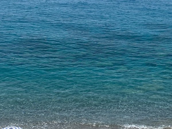Sea Palace Hotel (CS) Calabria
