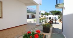 Patio con fiori rossi e ombrellone.