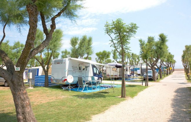 Area campeggio con camper e alberi.