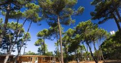 villaggi per bambini: PuntAla Camp & Resort - Castiglione della Pescaia Toscana