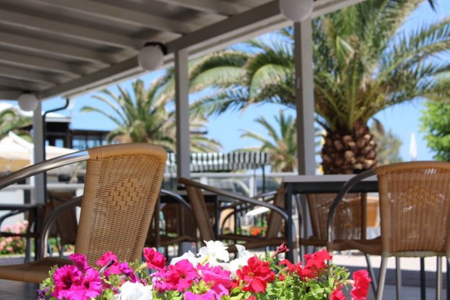 Sedie di vimini sotto una veranda con fiori e palme.