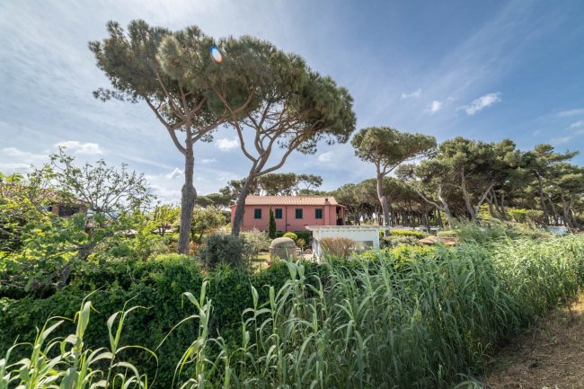 Edificio rosa tra alberi e vegetazione lussureggiante.