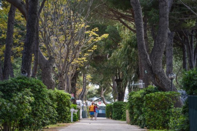 Sentiero alberato con due persone che camminano.