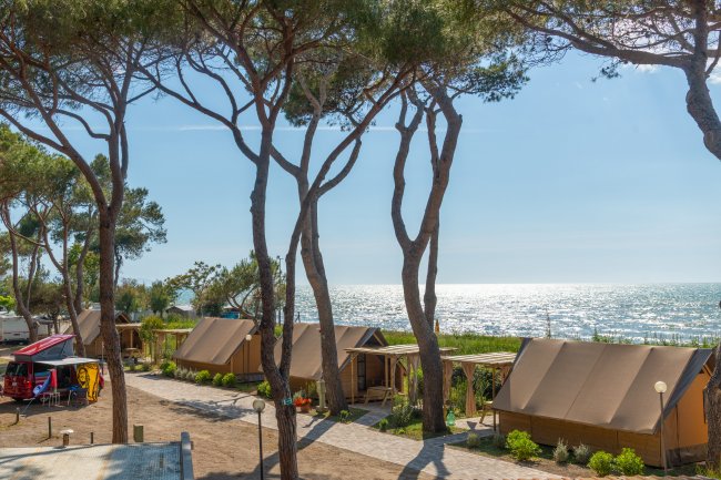 Tende e pini vicino alla spiaggia illuminata dal sole.