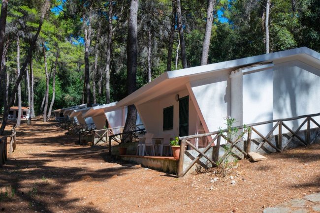 Bungalow bianchi tra gli alberi in un campeggio.