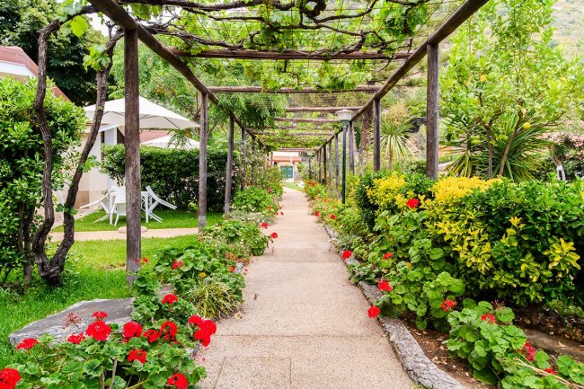 Vialetto fiorito sotto un pergolato verde.