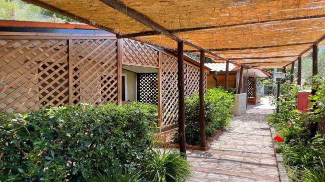 Passaggio esterno con pergolato e piante.