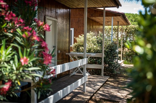 Veranda in legno con fiori e cespugli.