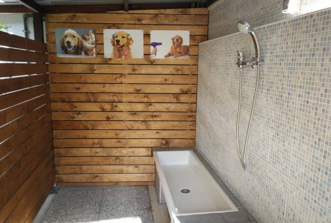 Doccia per cani e foto di cani su parete in legno.