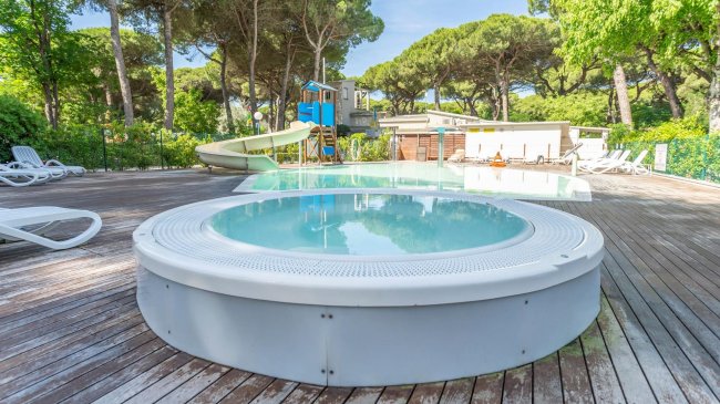 Vasca idromassaggio e piscina in un'area verde.