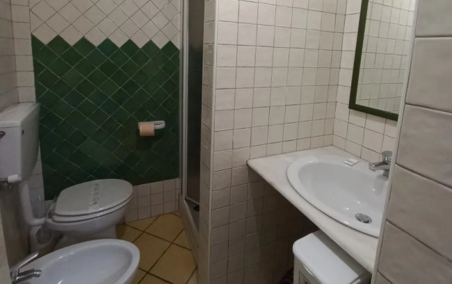 Bagno con doccia, lavandino e wc.