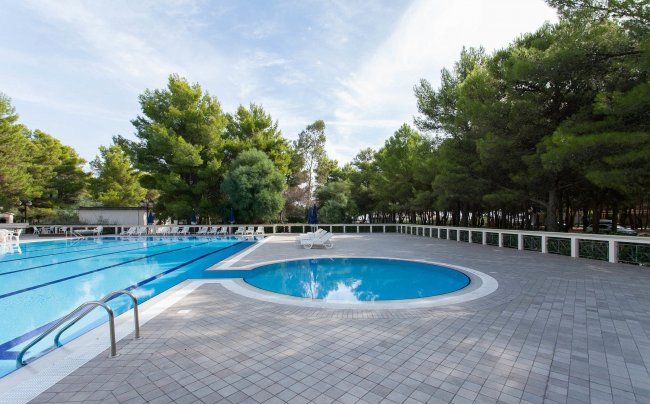 Piscina esterna circondata da alberi.