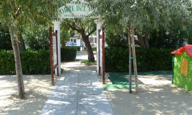 Sentiero di sabbia con un'insegna tra gli alberi.