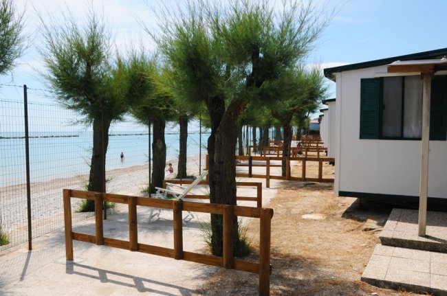 Bungalow vicino alla spiaggia con alberi.