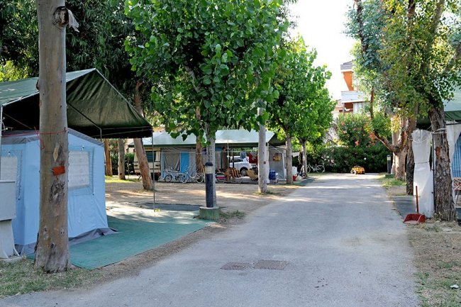 Vialetto alberato in un'area campeggio con tende.