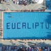 Offerte villaggi per bambini: Camping Eucaliptus - Alba Adriatica - Abruzzo