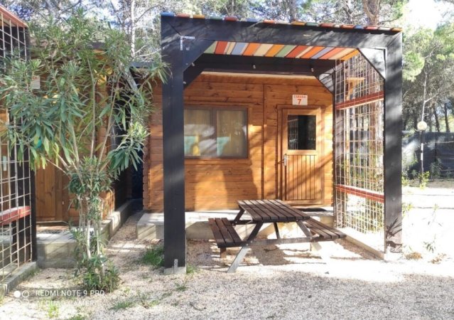 Struttura in legno con tavolo da picnic e tettoia.