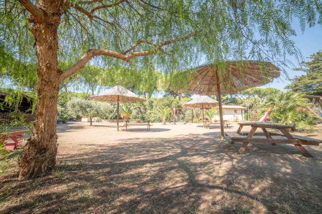 Hawaii Camping Internazionale (GR) Toscana
