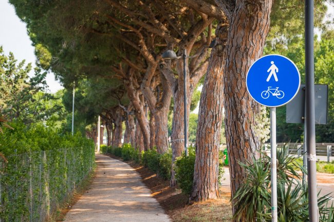 Hawaii Camping Internazionale (GR) Toscana