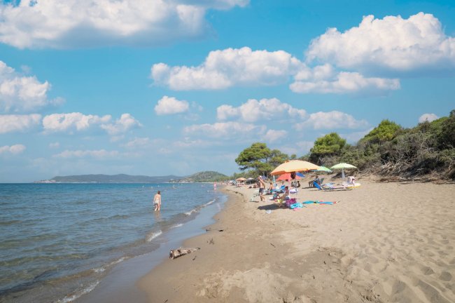Hawaii Camping Internazionale (GR) Toscana