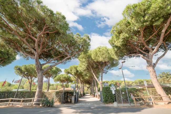 Hawaii Camping Internazionale (GR) Toscana