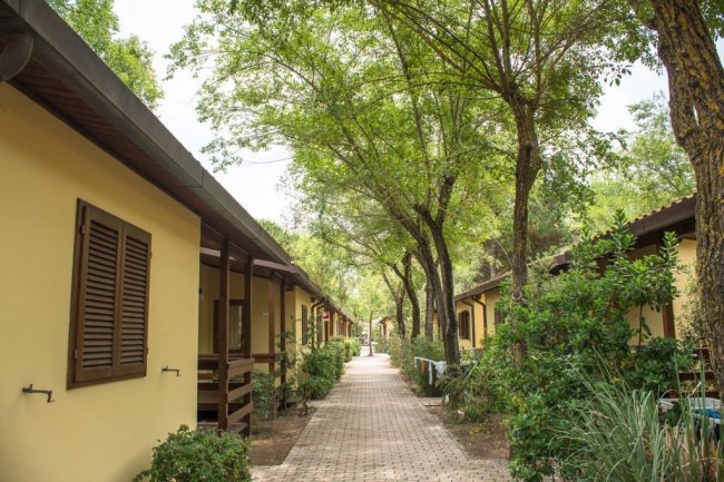 Hawaii Camping Internazionale (GR) Toscana
