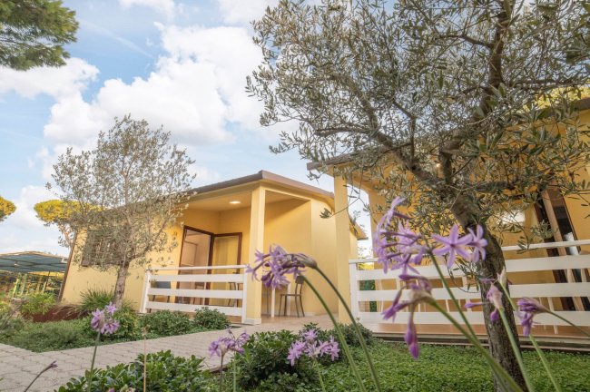 Hawaii Camping Internazionale (GR) Toscana