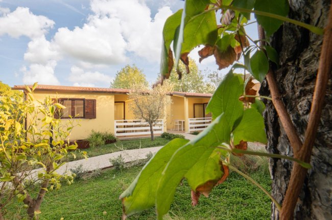 Hawaii Camping Internazionale (GR) Toscana