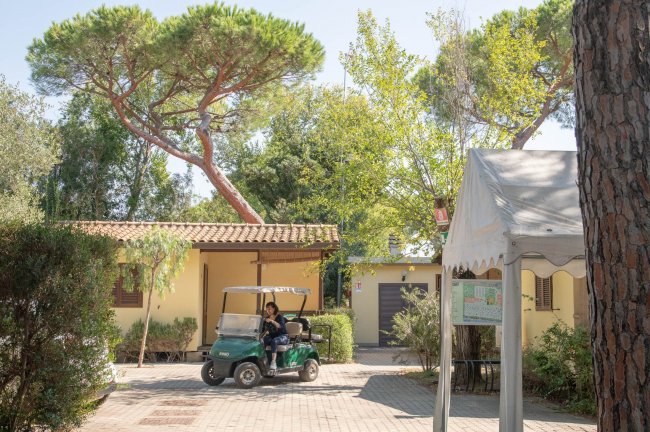 Hawaii Camping Internazionale (GR) Toscana