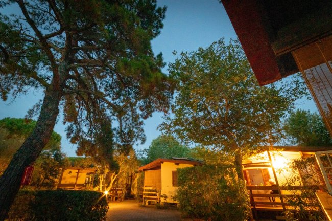 Hawaii Camping Internazionale (GR) Toscana