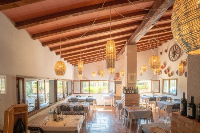 Hawaii Camping Internazionale (GR) Toscana