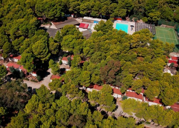 Vista aerea di un complesso con piscina tra gli alberi.