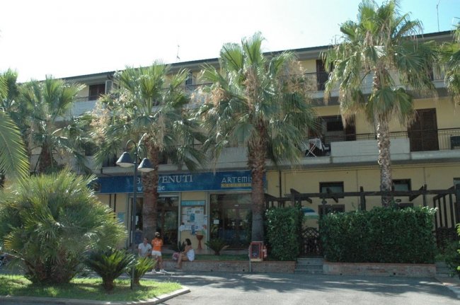 Edificio con palme davanti.