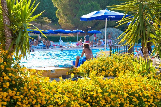Piscina affollata con ombrelloni blu e fiori gialli in primo piano.