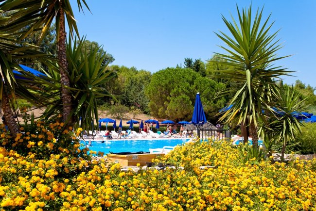 Una piscina circondata da palme e fiori gialli, con ombrelloni blu.