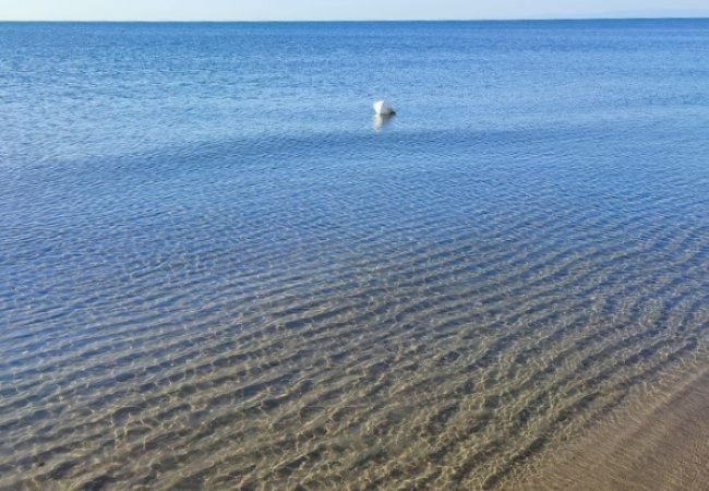 Mare calmo con piccole onde e una boa bianca.